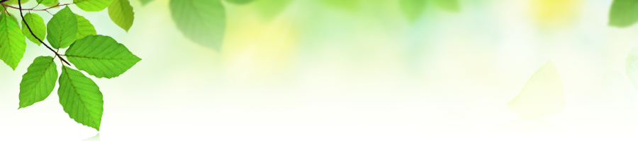 �n��Ȋw�������O�꒲��